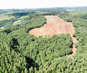  Coasul anuncia novos investimentos em Laranjeiras do Sul