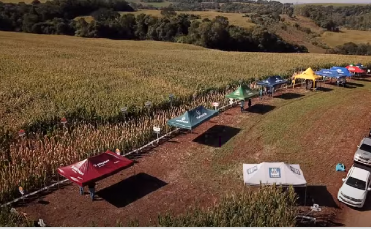  Coasul realiza seu 1º Dia de Campo Virtual