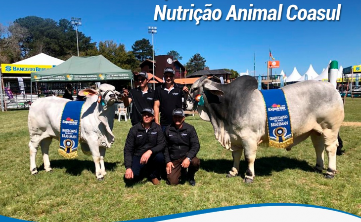  Animais premiados na Expointer 2023 recebem Nutrição Animal Coasul