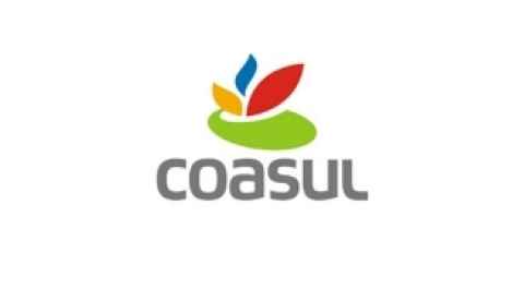 COASUL | Resultados 2020