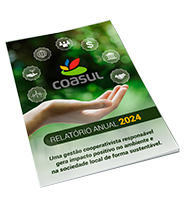 Relatrio Anual Coasul